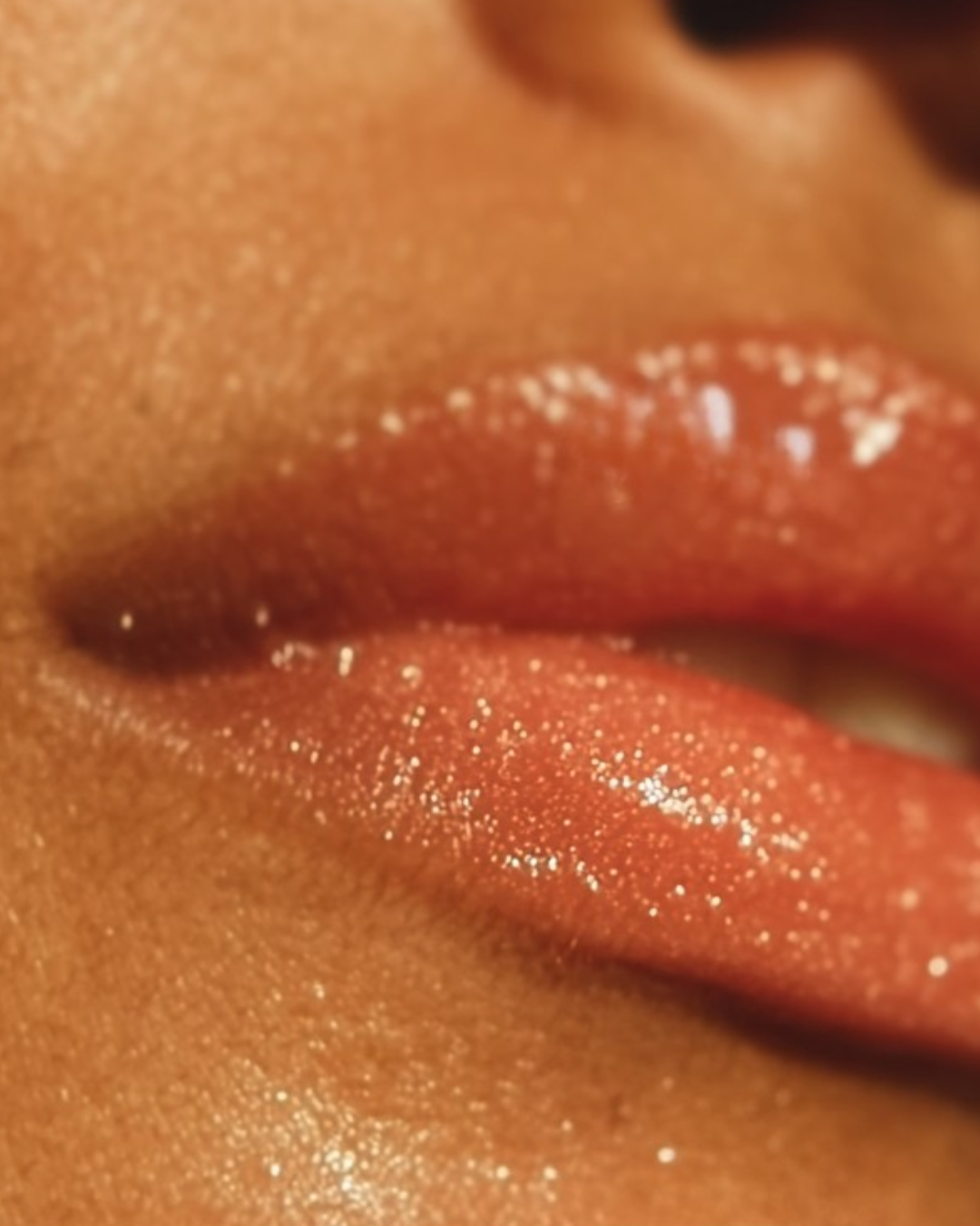 Rang-e-Ishq Lip Glaze